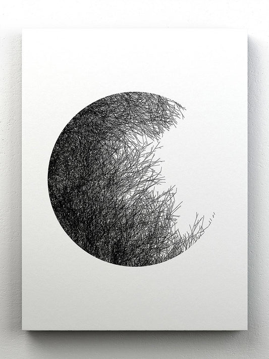 Moon nature