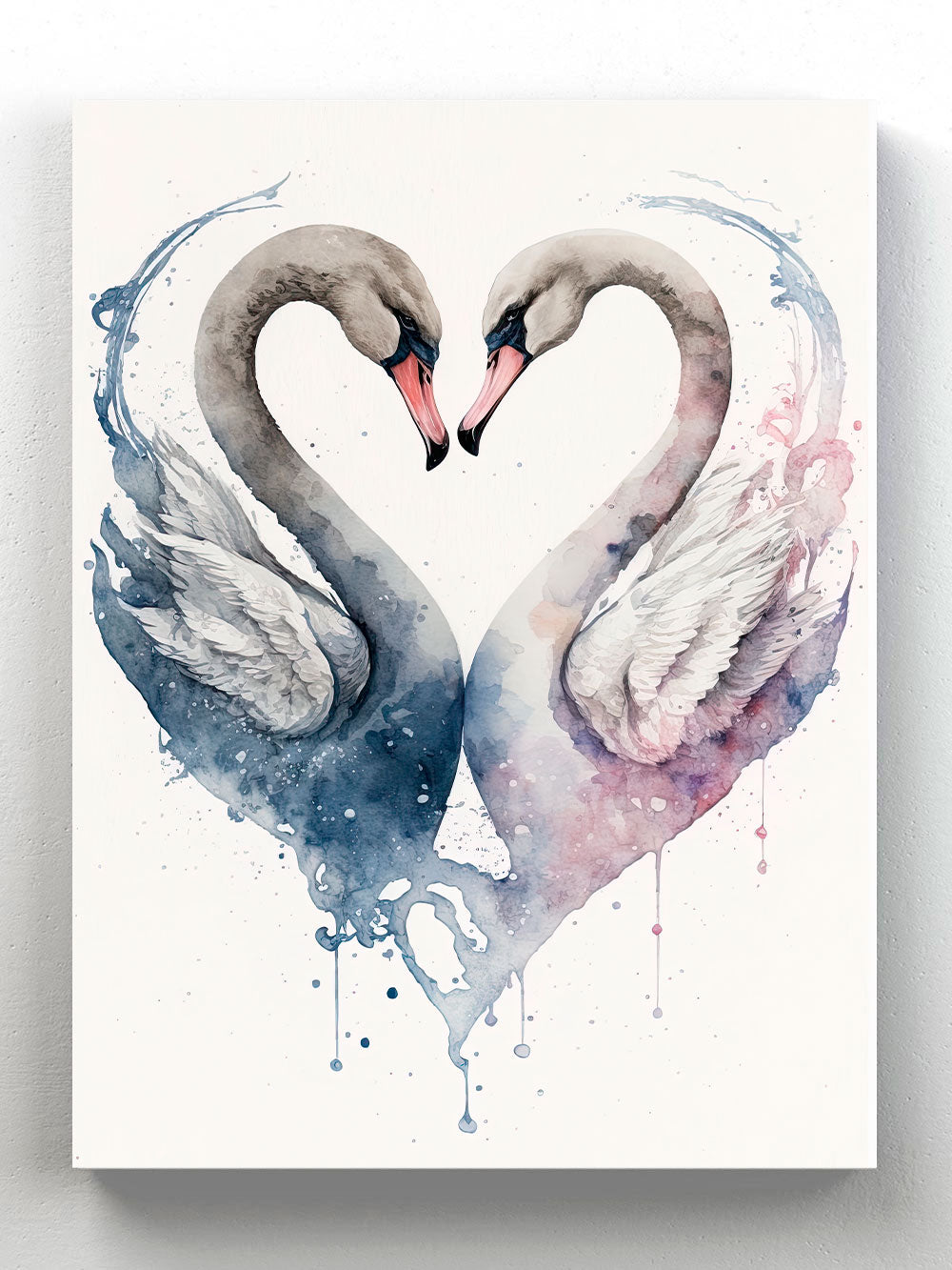 Swan love