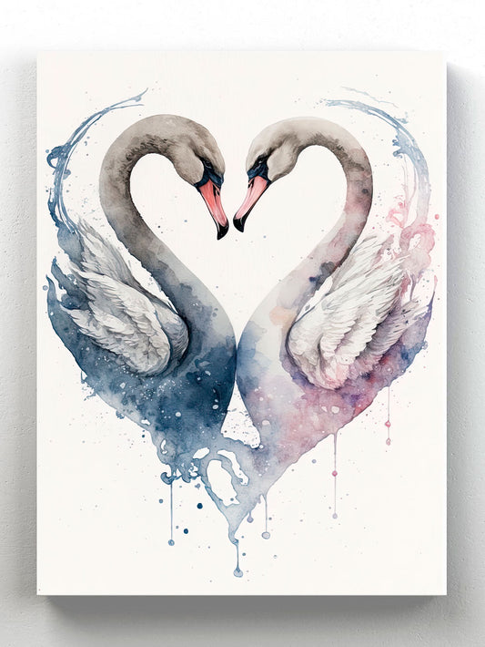 Swan love