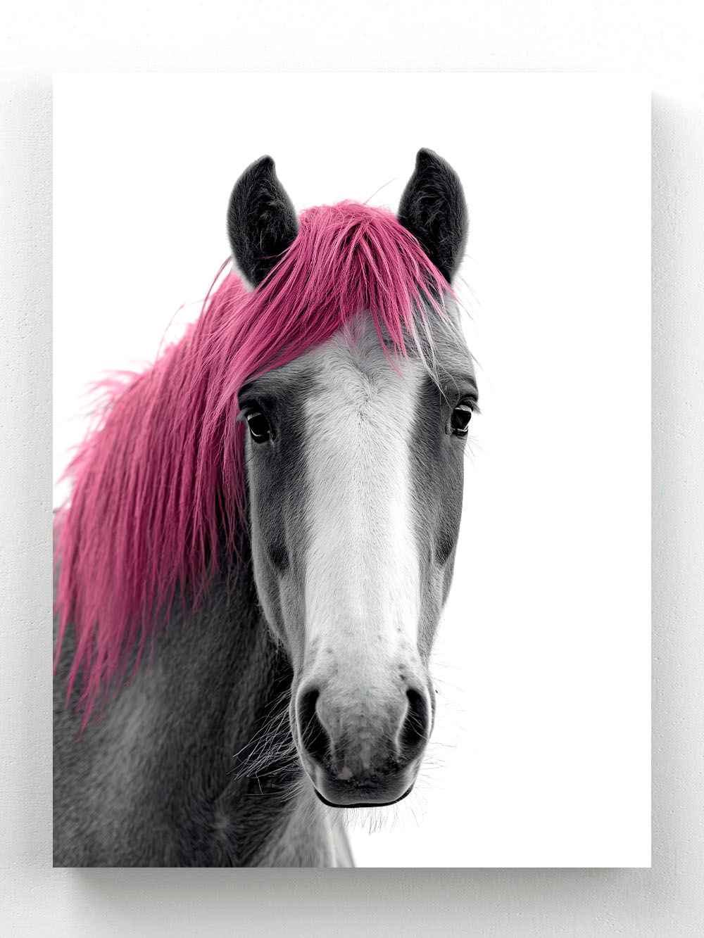 Pink Horse