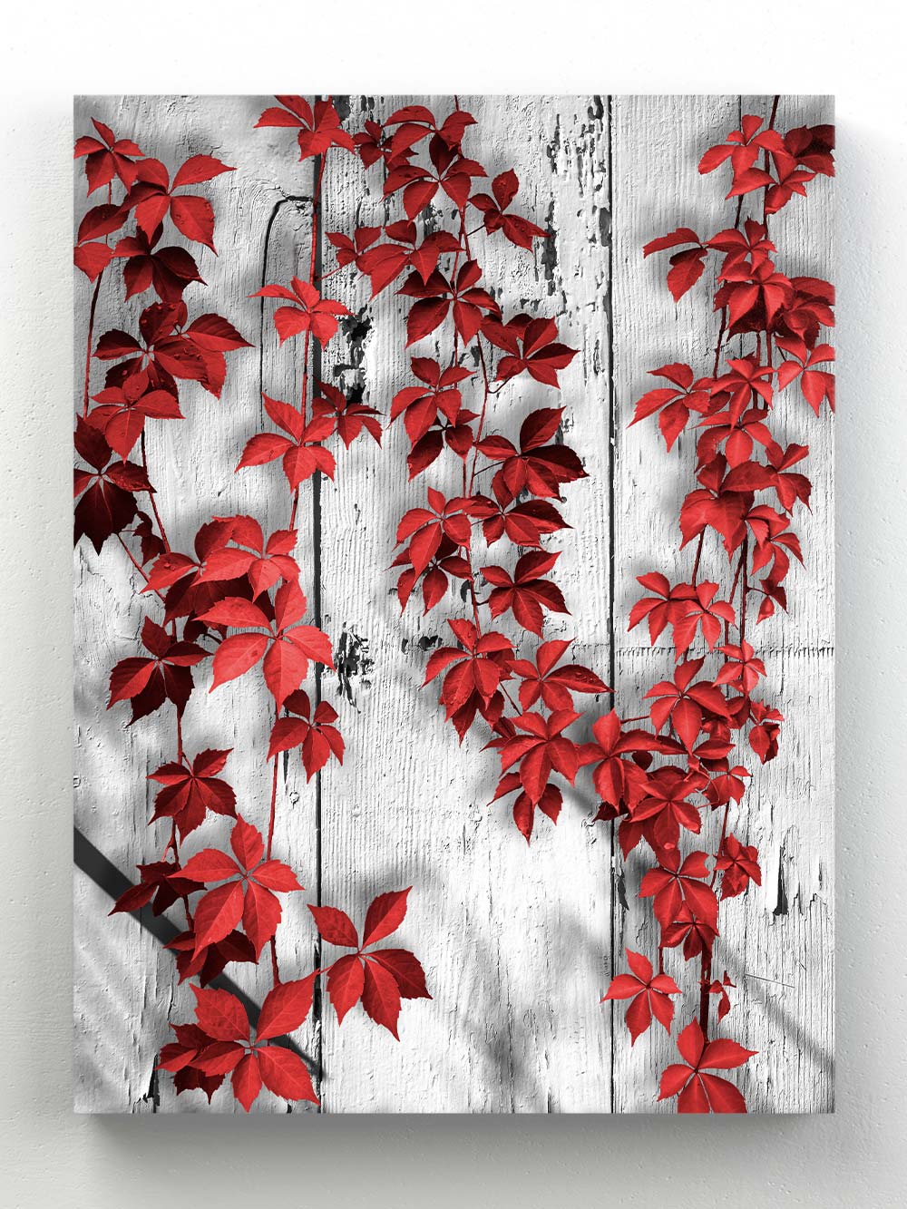 Red leaves