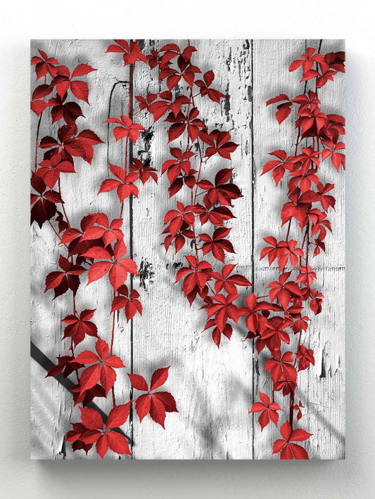 Red leaves