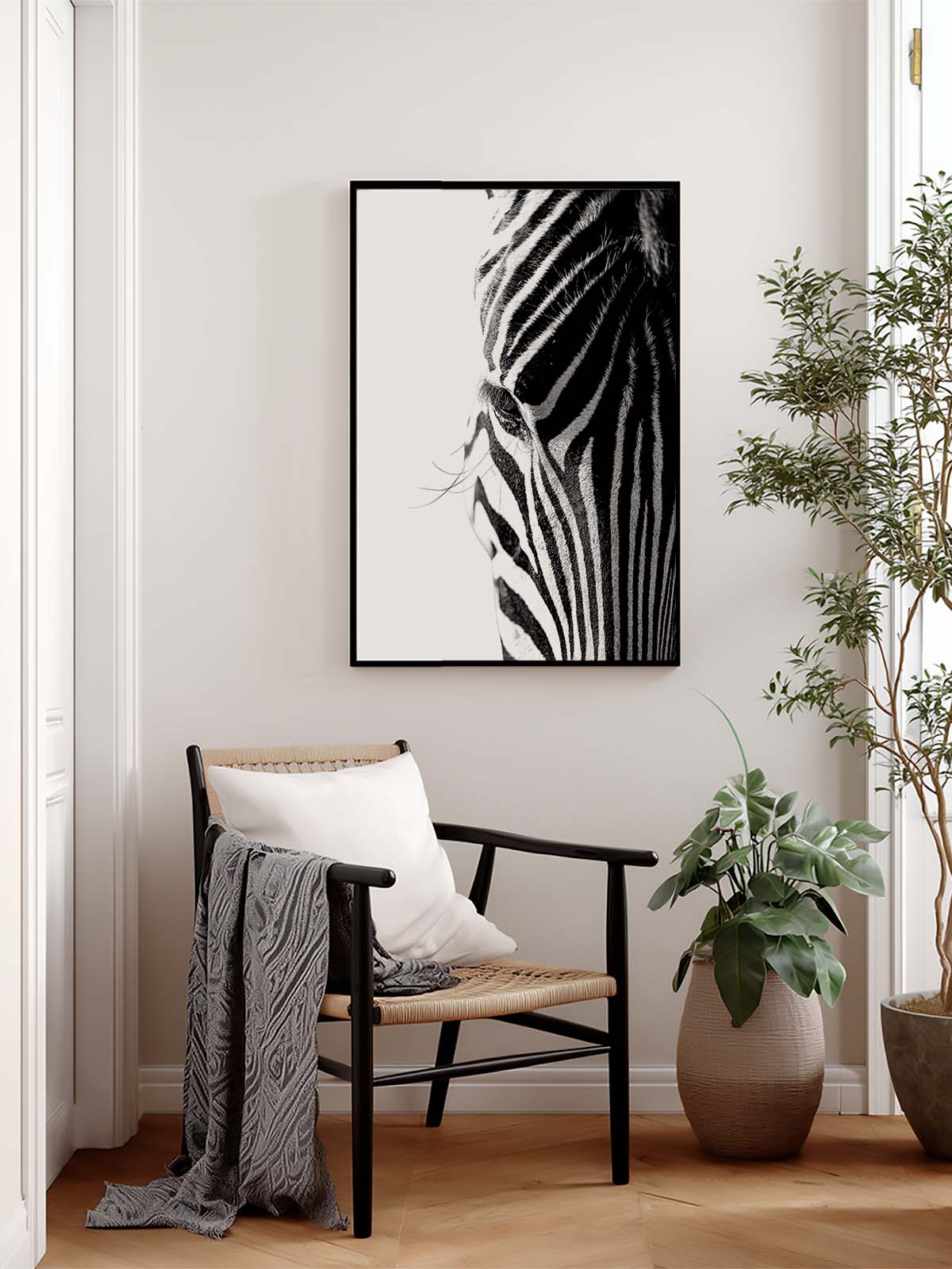 Zebra